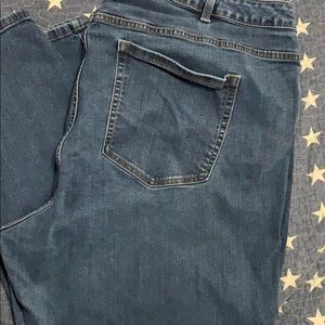 Lane Bryant Skinny Jeans 28R